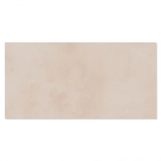 Klinker Delicate Beige Mat 30x60 cm-2